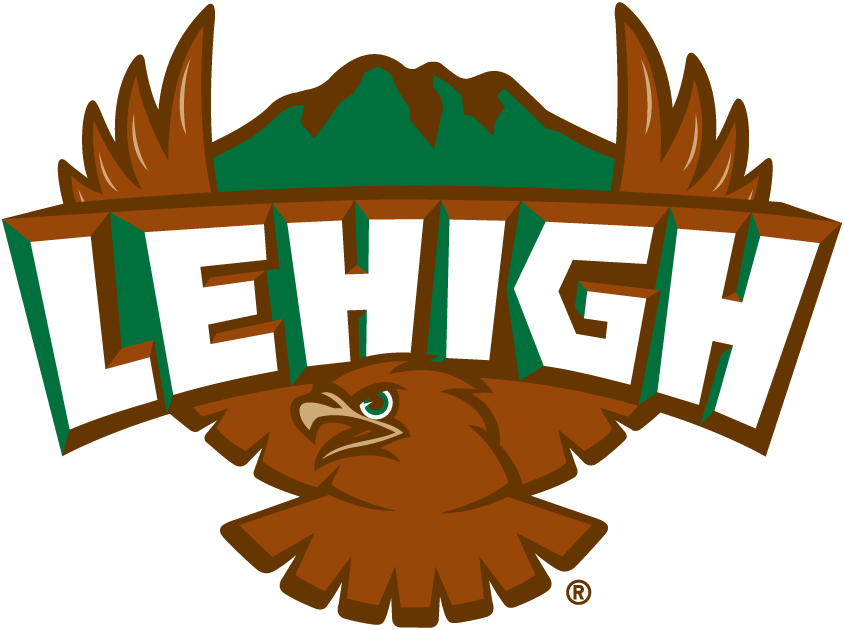 Lehigh Mountain Hawks 1996-2003 Primary Logo iron on transfers for clothing